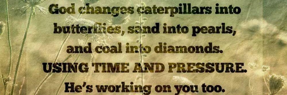 Debra Kappers banner