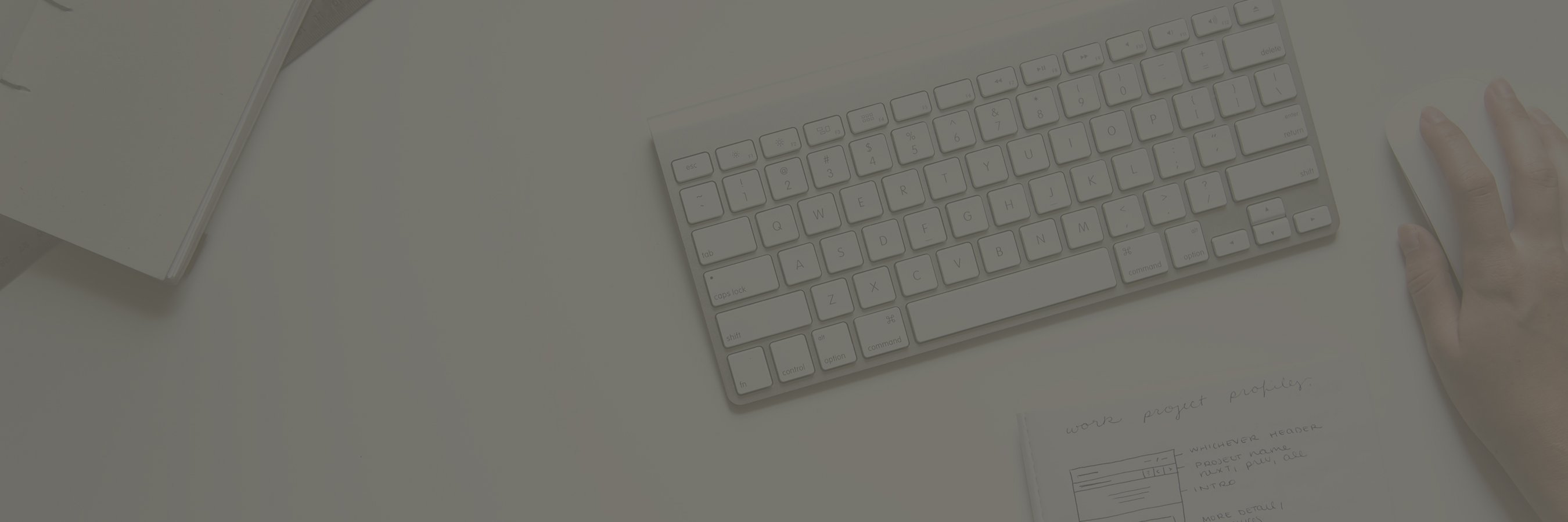 thecurioco's profile banner image