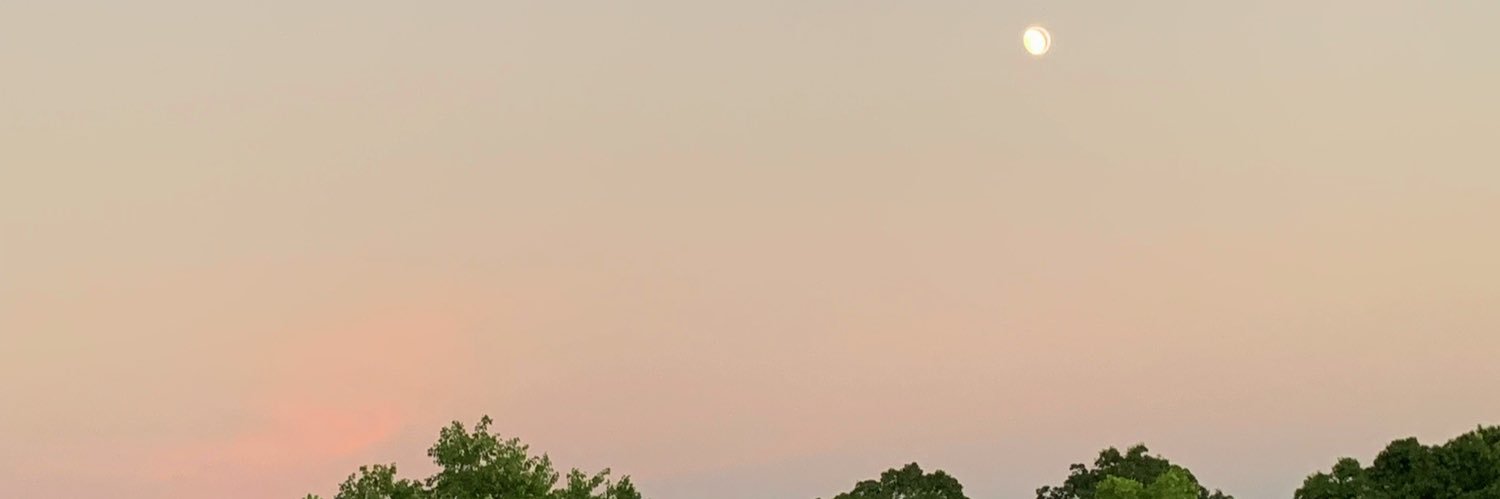 Rei___naa's profile banner image