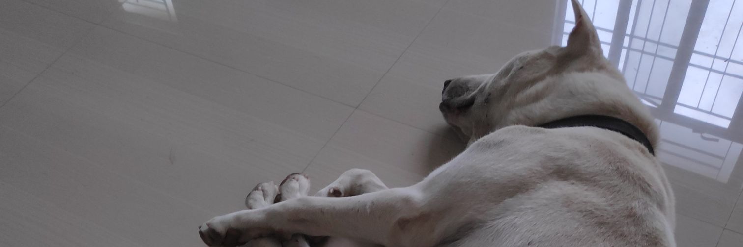 Johnmomo_'s profile banner image