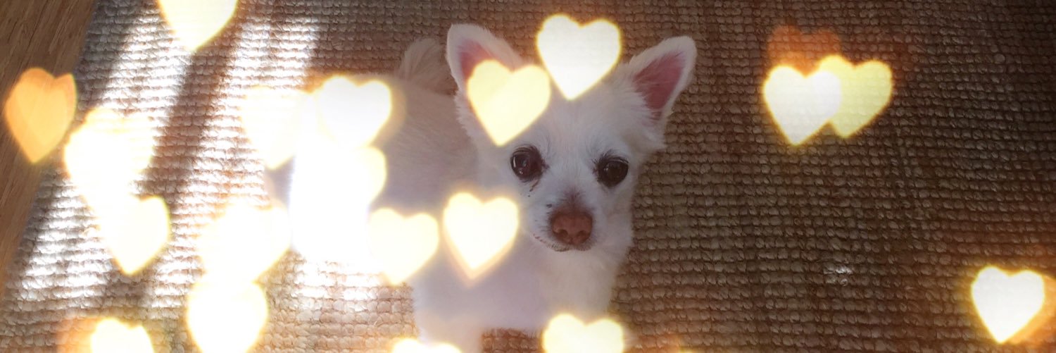 SydneySnacker's profile banner image