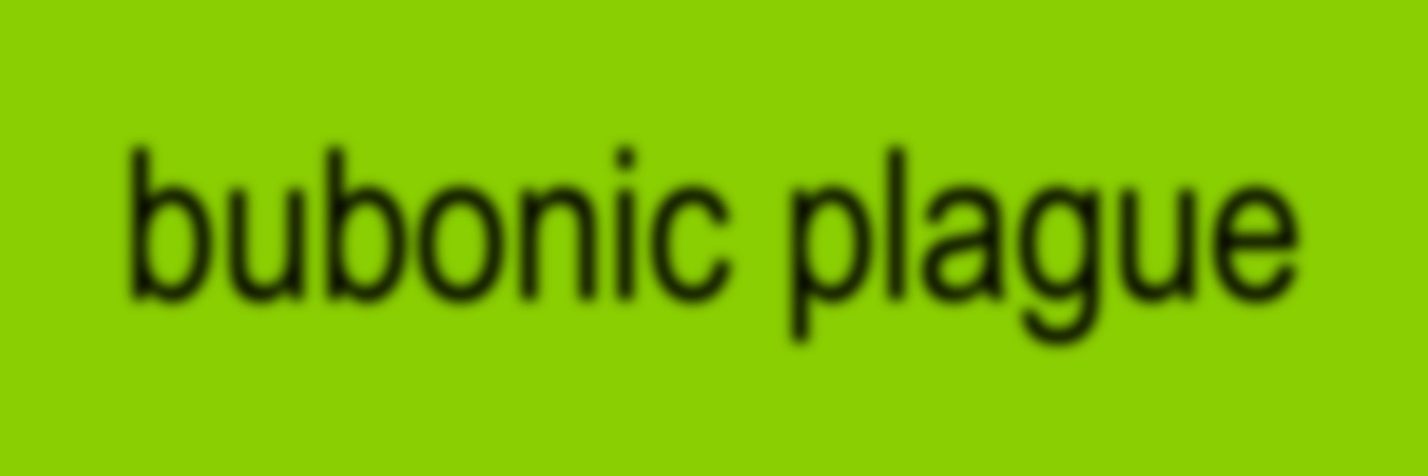 Igor Brodecki banner