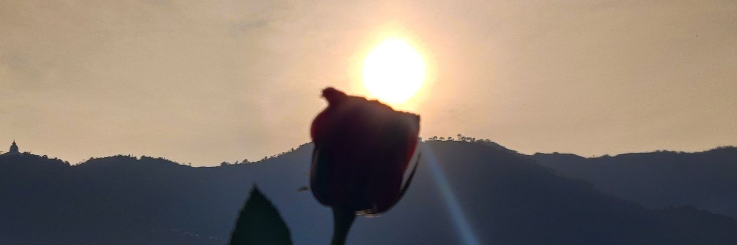 Staera_'s profile banner image