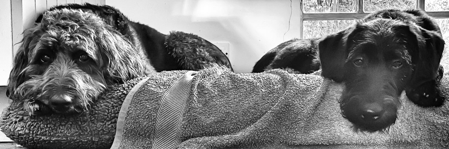 smfcallands's profile banner image