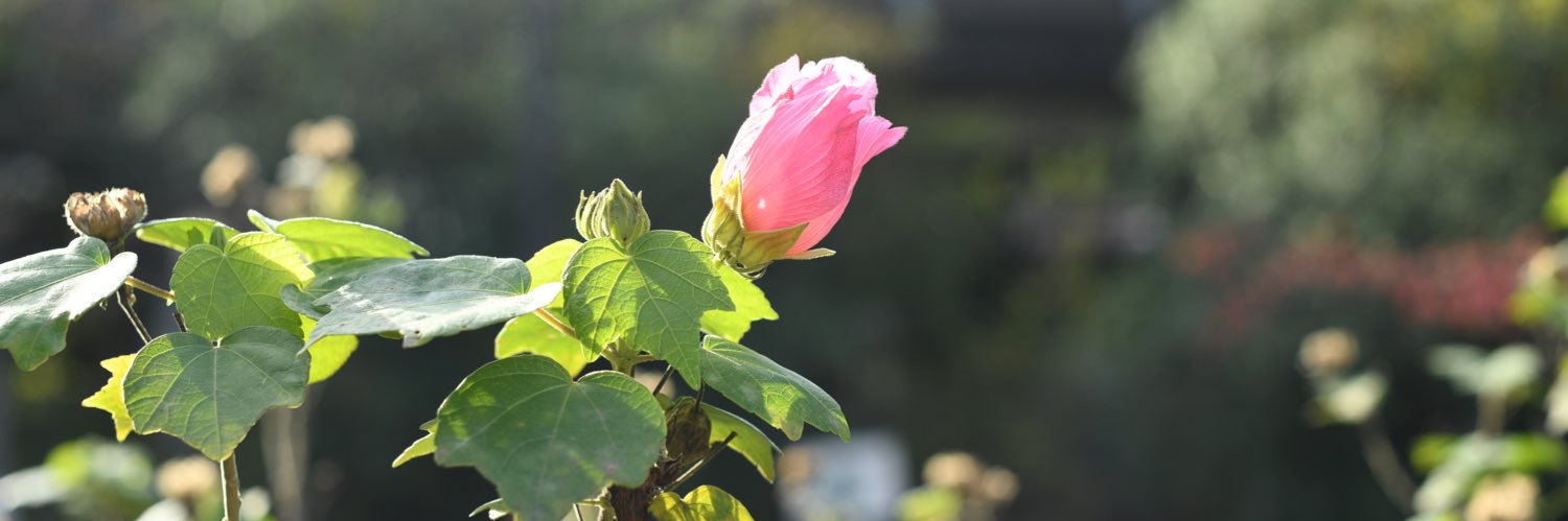 Fgopro765's profile banner image