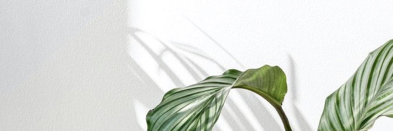 hzmariahz's profile banner image