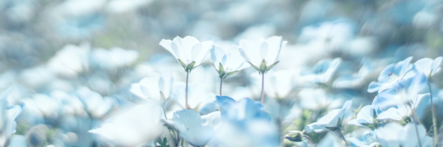 かろこ banner