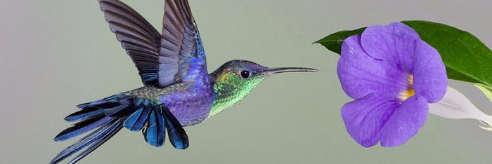 SSSN3020's profile banner image