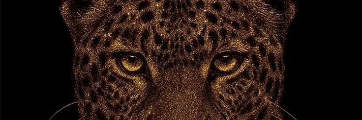 C20_diaas's profile banner image