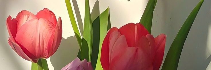 rainandini11's profile banner image