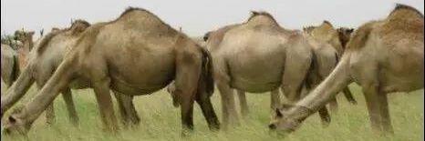 mudubulle's profile banner image