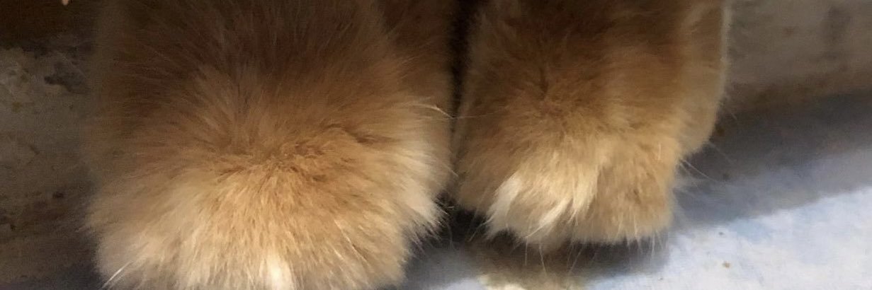 cemree94's profile banner image