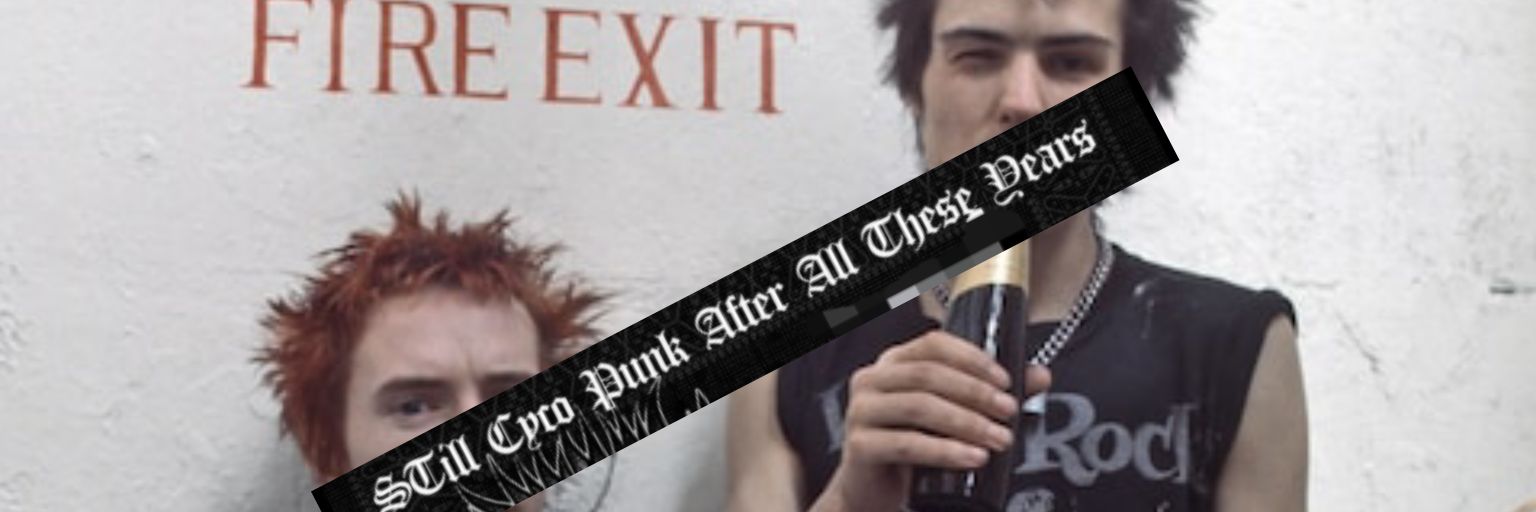nastpomm's profile banner image