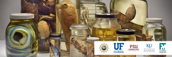 iDigBio Profile Banner