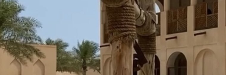 FAHAD_0000's profile banner image