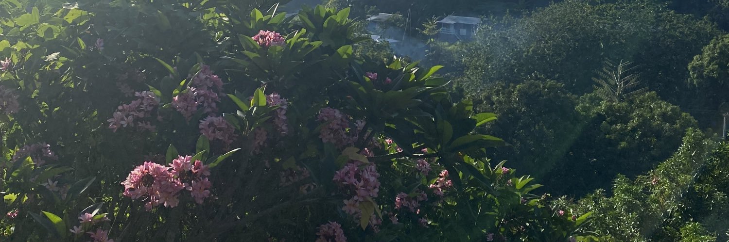 Stephanie Wheeler 🌴 banner