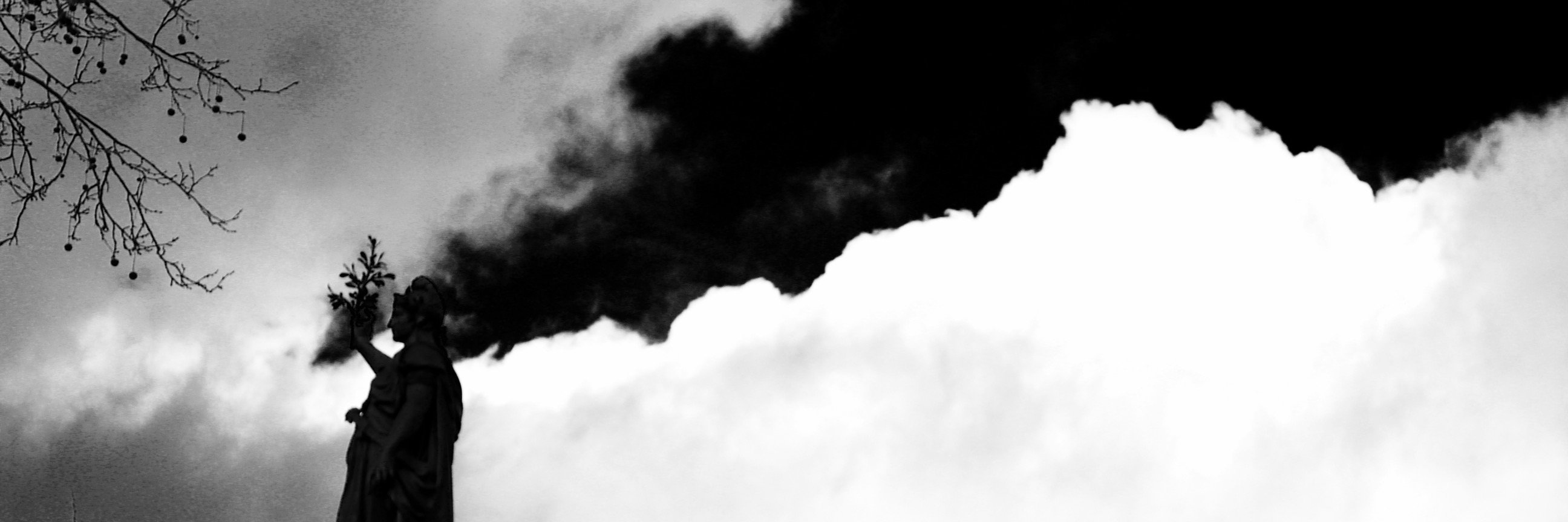 holy_styxx's profile banner image