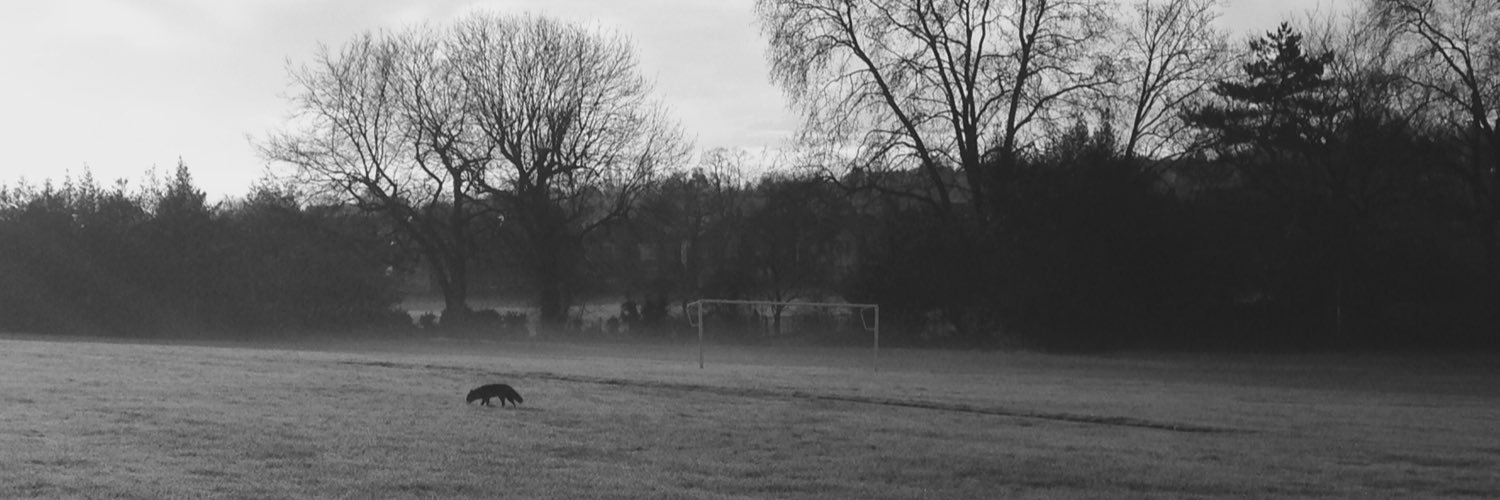 ForestSch_Ideas's profile banner image