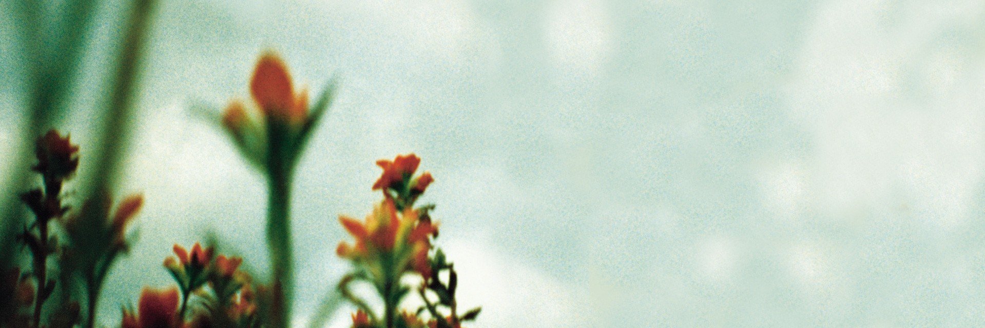 jcals62's profile banner image