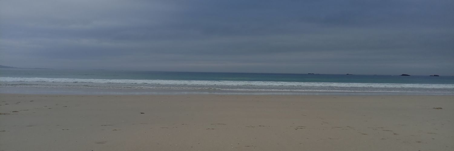 pichel_isabel's profile banner image