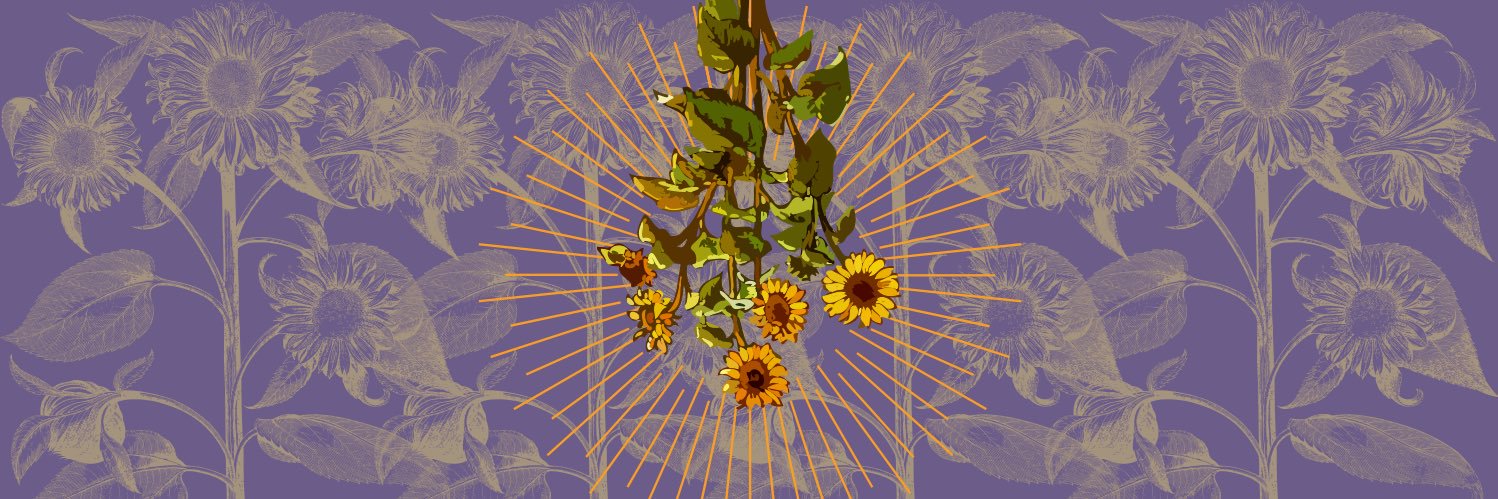 ms_teftef's profile banner image