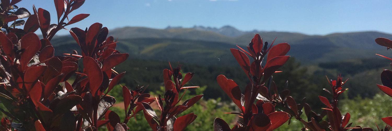 EnjoyGredos's profile banner image