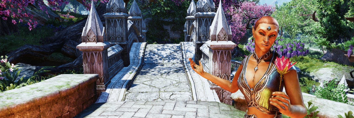 _Catacious's profile banner image