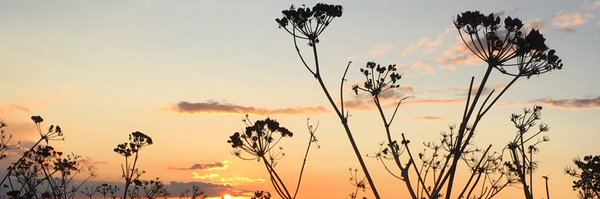 KJF239 Profile Banner