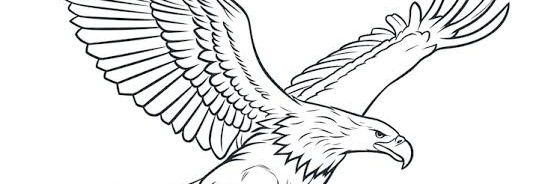 Johnnyilunga's profile banner image