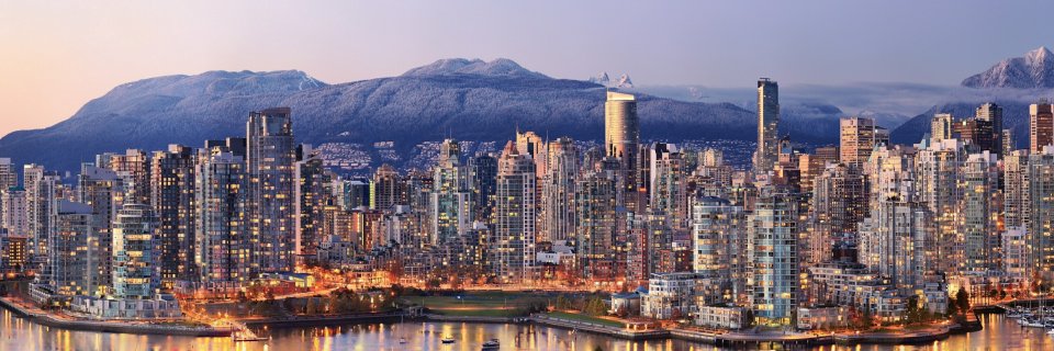 auroravcx's profile banner image