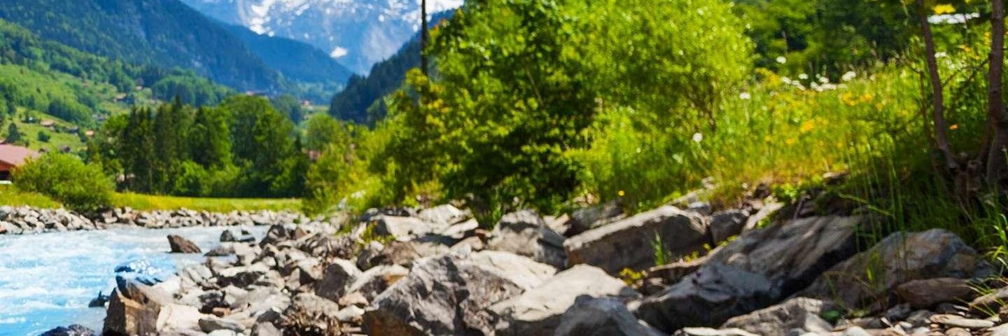 Nicolas Quinton banner