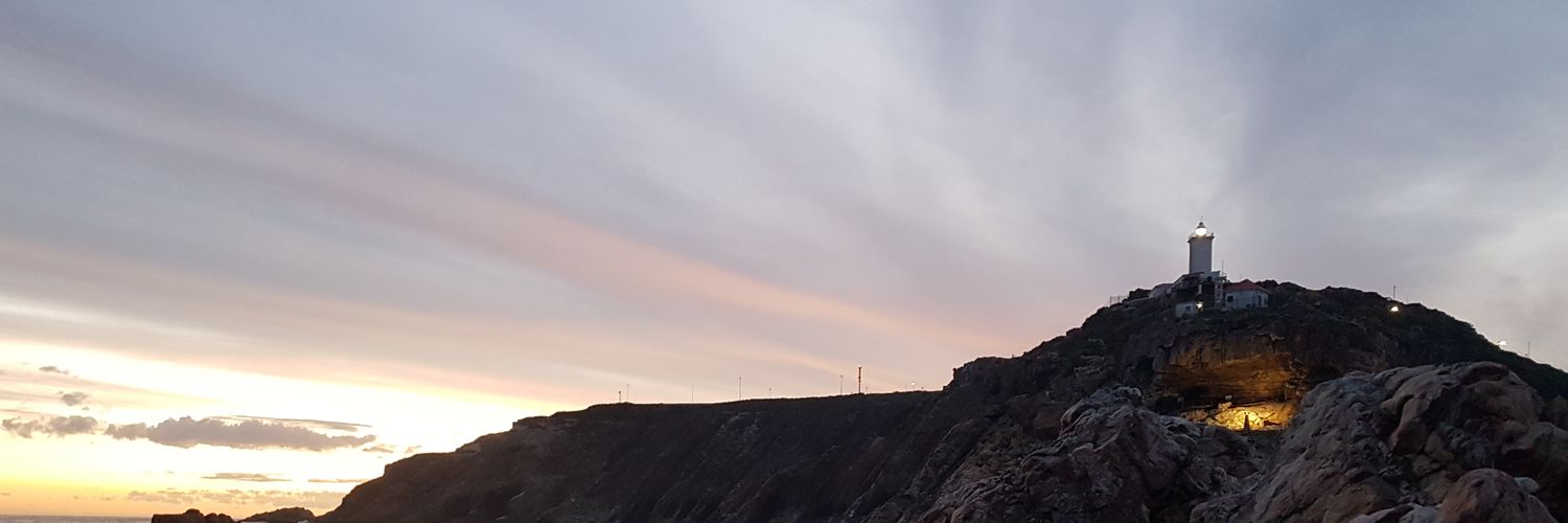 RoxyRoxvn's profile banner image