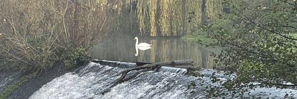 __FMaria Profile Banner