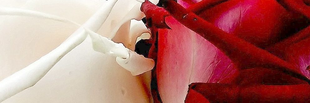 dziuniabla's profile banner image
