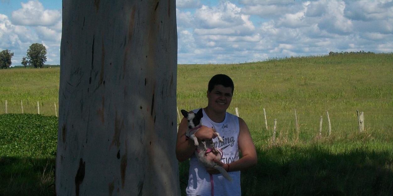 Guilherme Loreto banner