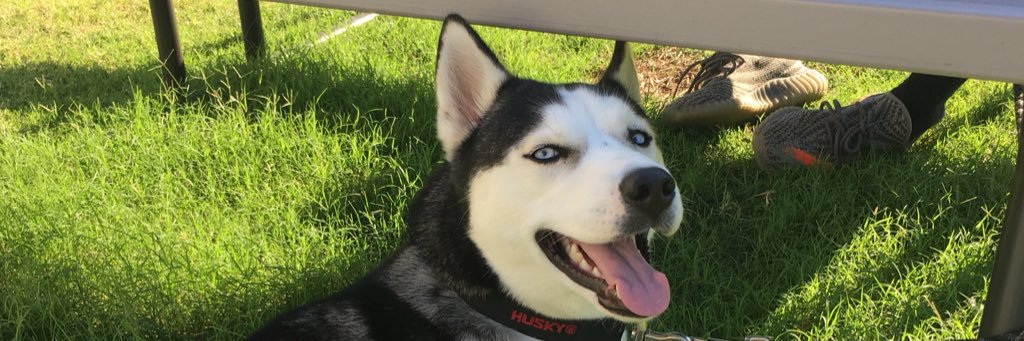 Jayyy_bm's profile banner image