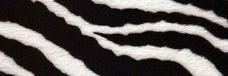 canderojas90's profile banner image