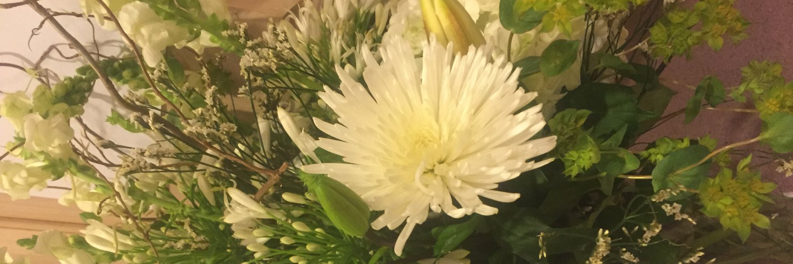 Catherine F. Brooks banner