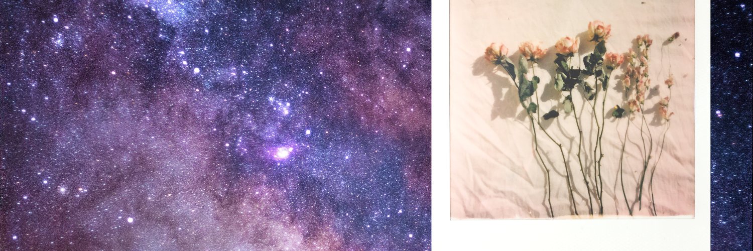 Maledetusmales's profile banner image