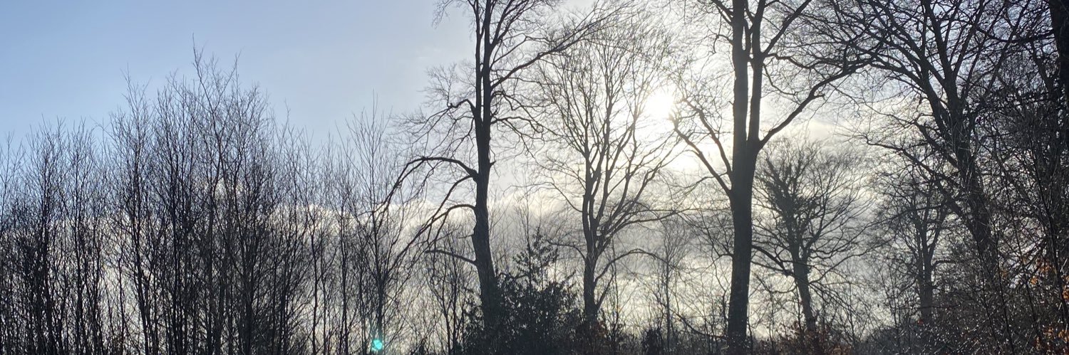LouanneMgn's profile banner image