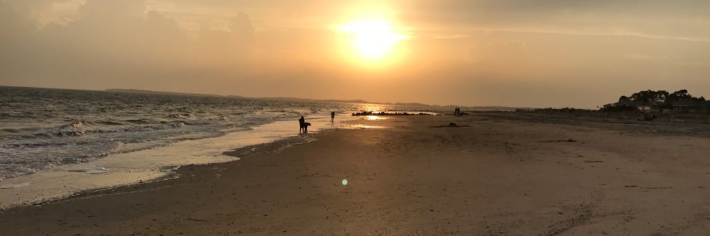 Tim Anderson ⚛️🌎 banner