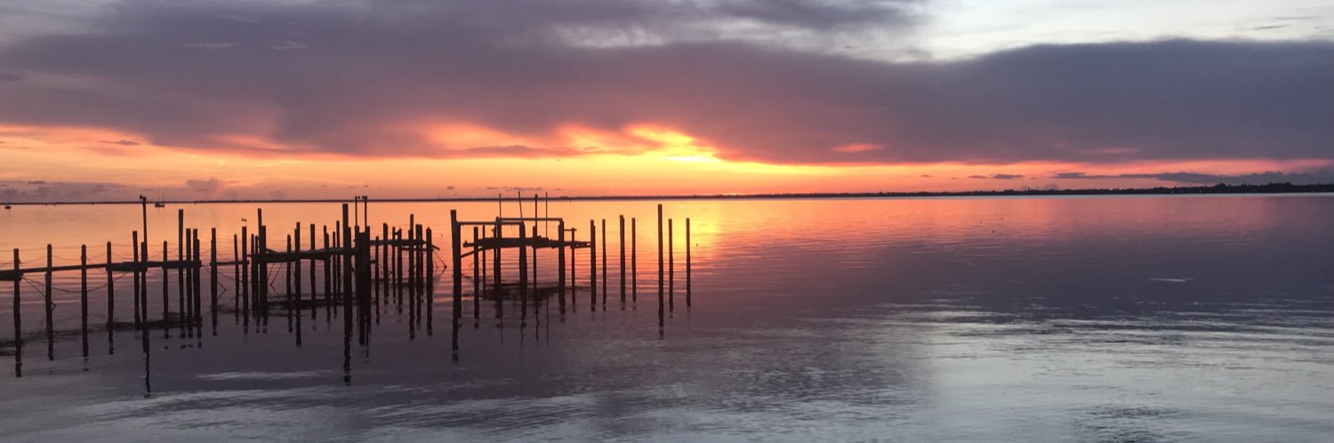 Taylor Petras banner