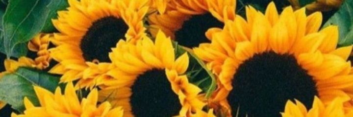 Irela_94's profile banner image