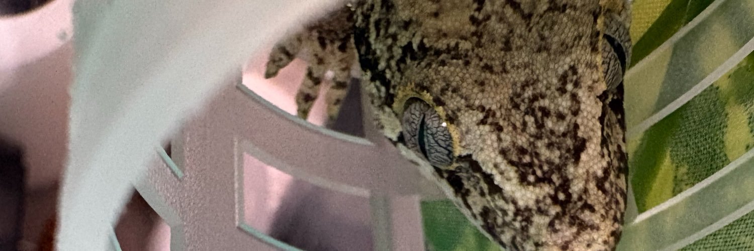 Hyla_123's profile banner image
