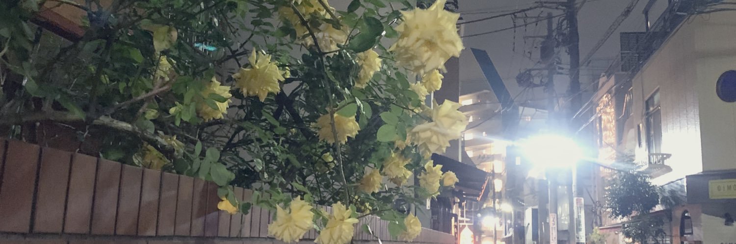 mirimiri6464's profile banner image