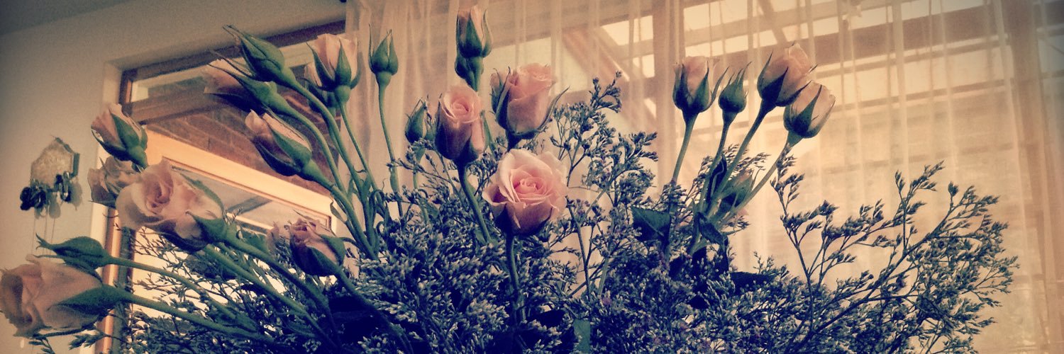 pau_avz's profile banner image