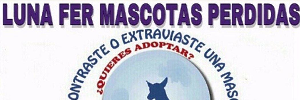 LunaFerRescata's profile banner image