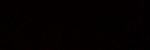 TweetLikeMom's profile banner image
