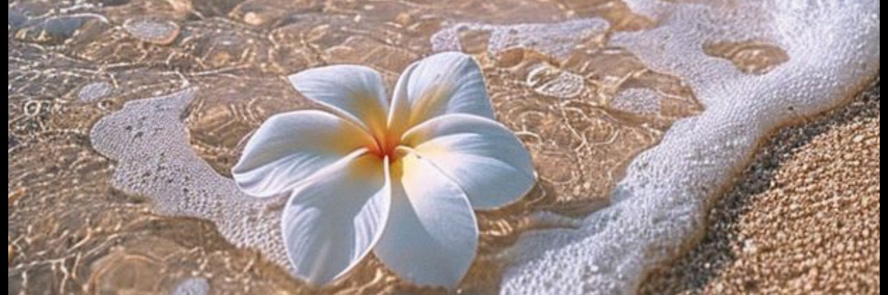 NouniA4's profile banner image