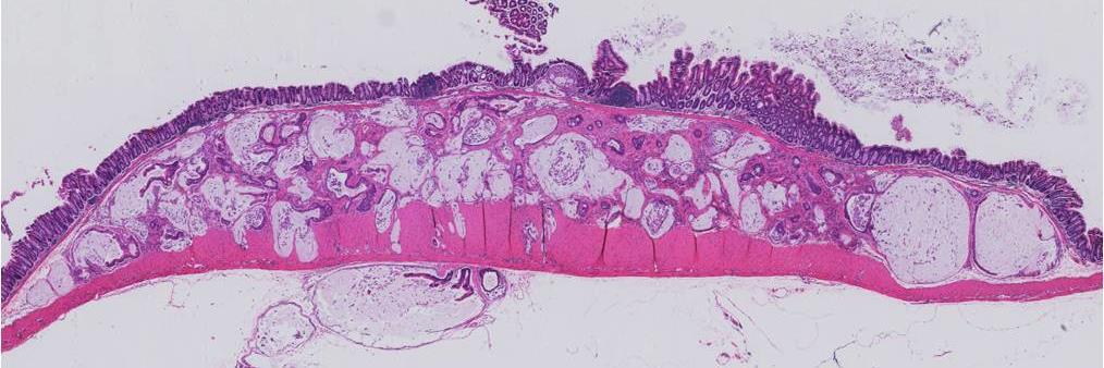 Dustin Deming banner